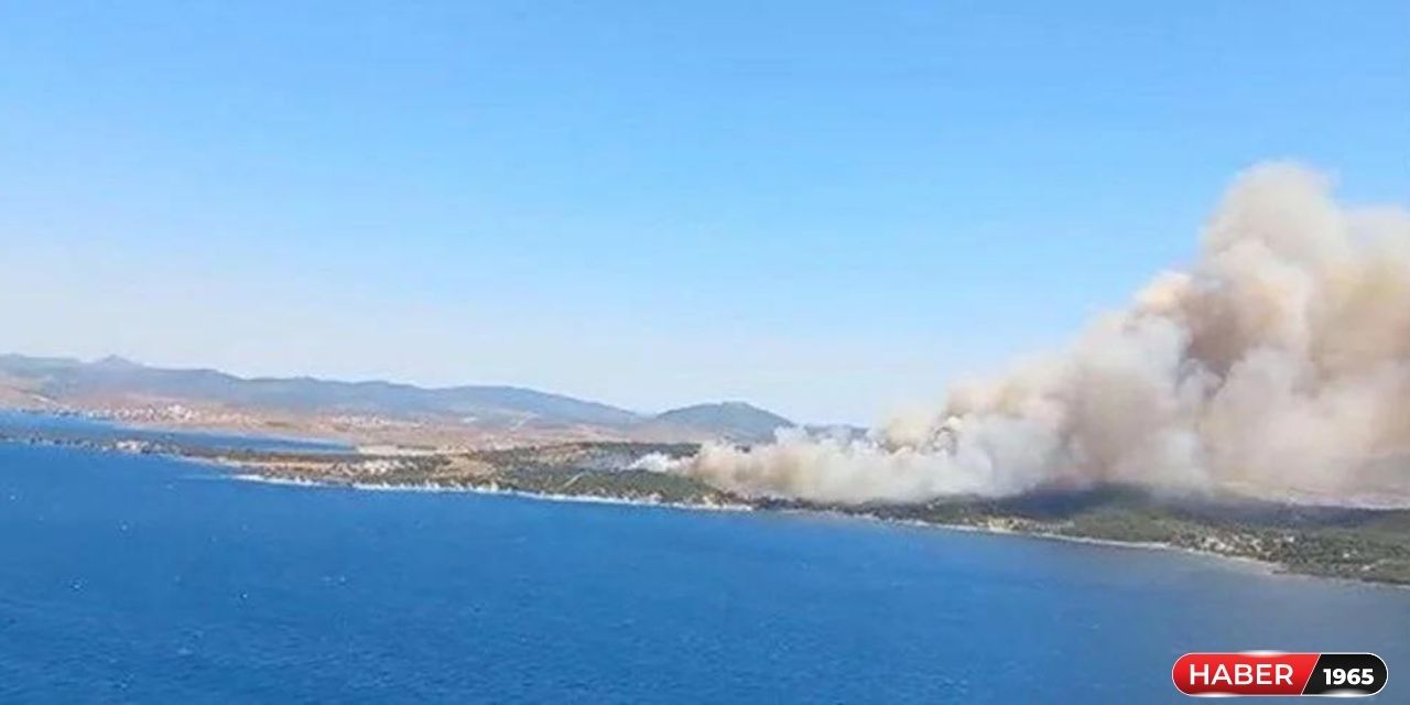 İzmir'de orman yangınına müdahale eden personel çalışmalar esnasında şehit oldu