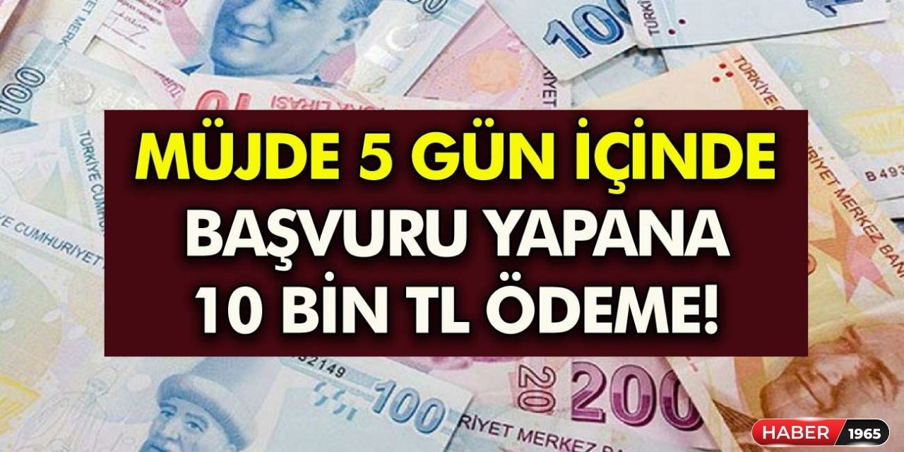 Acil para ihtiyacına çözüm Albaraka Türk'ten geldi! 3 ay ertelemeli faizsiz 10 bin TL nakit ödemesi yapacak