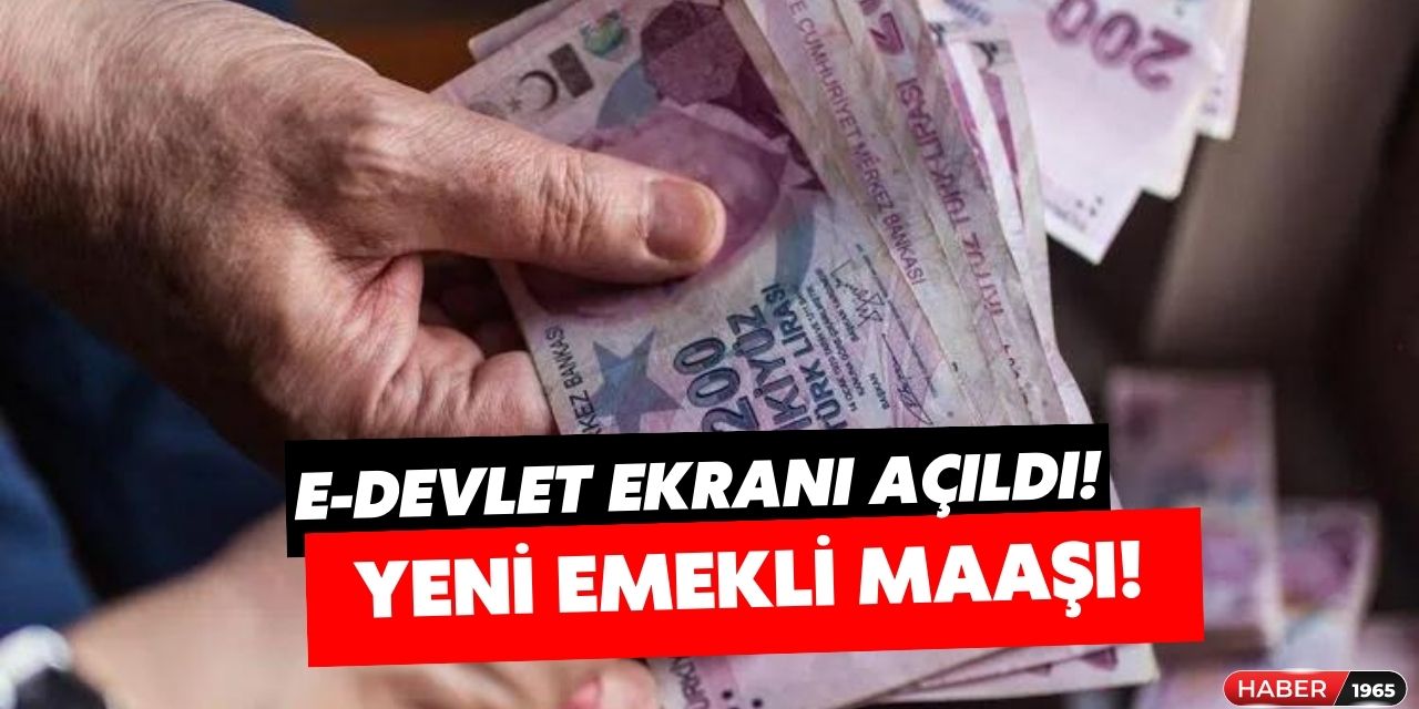 Emekliye nihayet zam haberi geldi! Yeni zamlı maaşlar için e-Devlet sorgulama ekranı açıldı hemen öğrenin