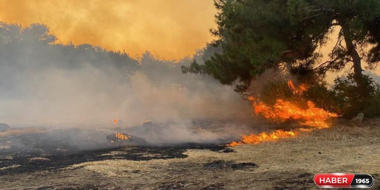 Türkiye yanıyor! 4 kentte devam eden yangın köylere sıçradı