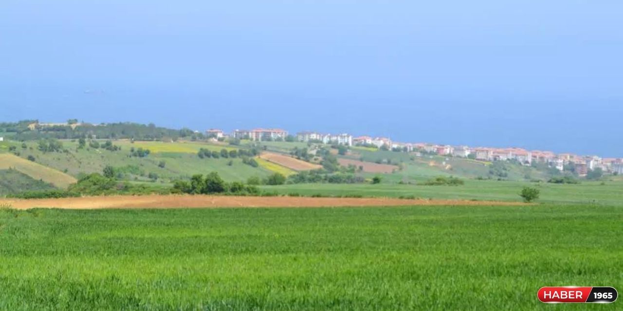 Yatırımların yeni adresi belli oldu! Milli Emlak'tan sadece 13 bin TL'ye yeni arsa satışa çıktı