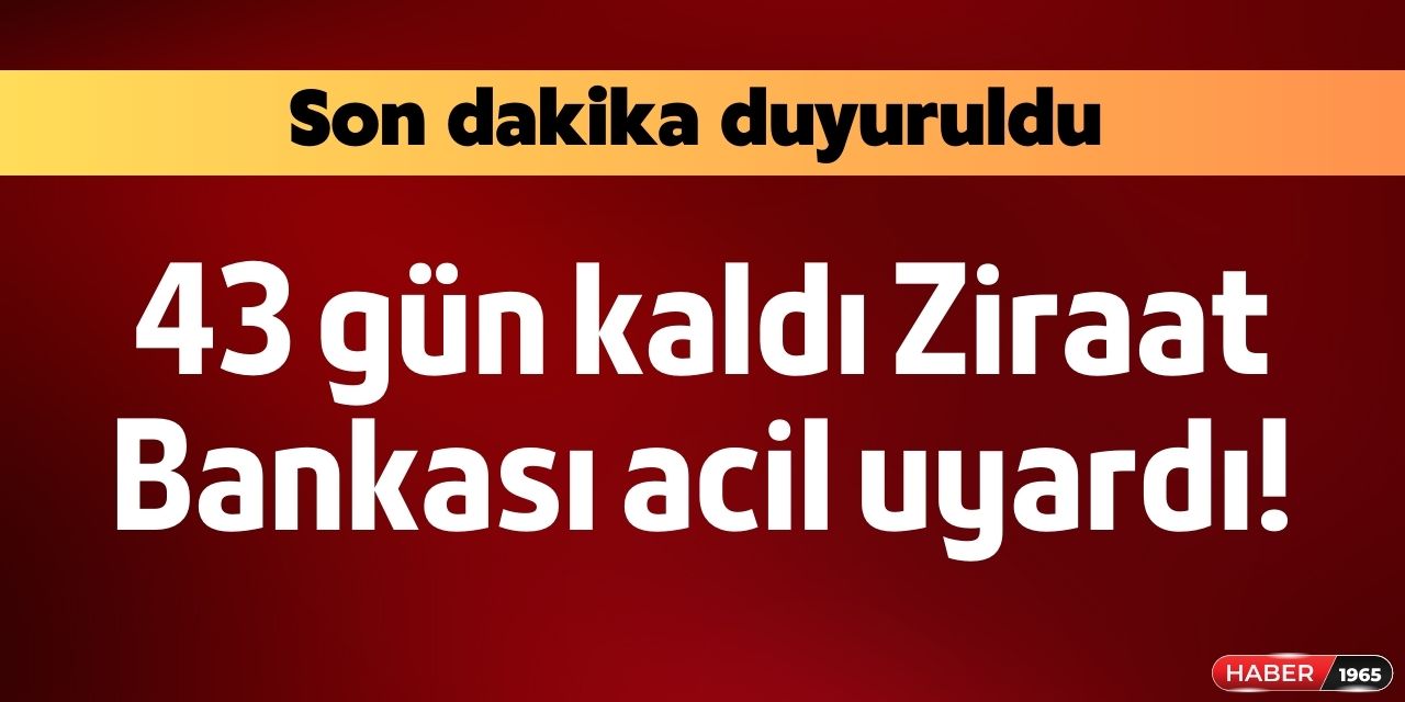 Ziraat Bankası'ndan flaş duyuru geldi! 43 günde işlem yapmayanın hesaptaki para gidecek