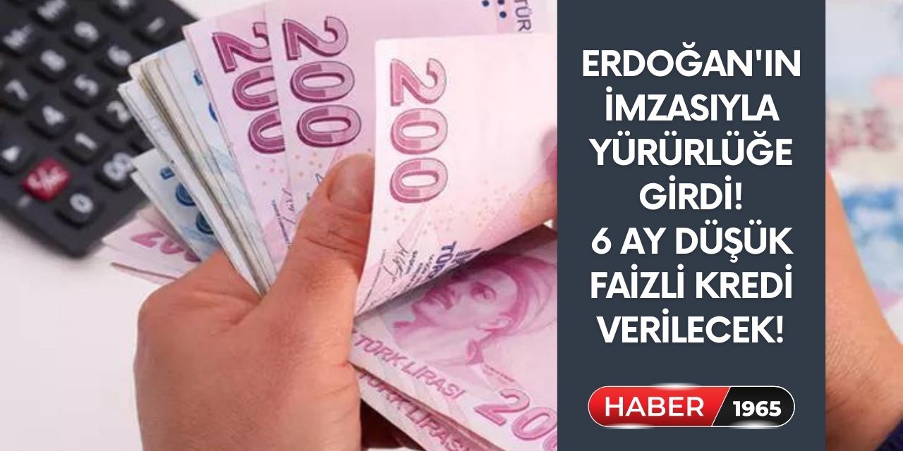 Erdoğan'ın imzasıyla yürürlüğe girdi! 6 ay vadeli düşük faizli kredi verilecek