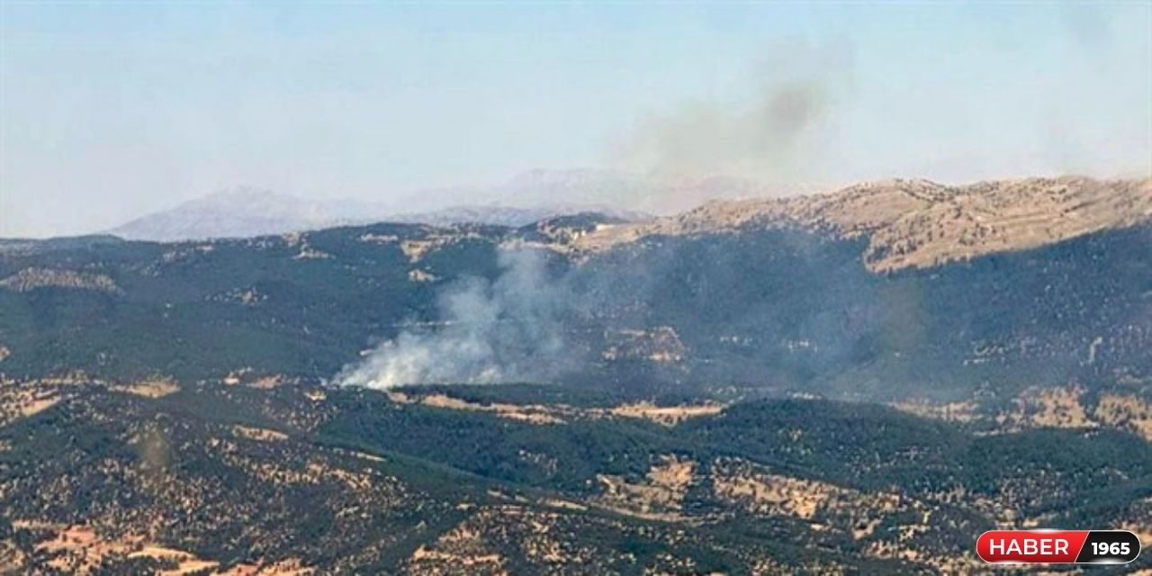 Muğla, Adana ve Çeşme'de orman yangını çıktı