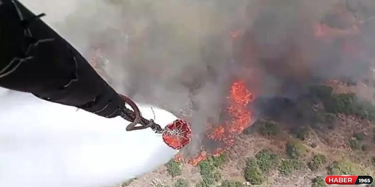 Farklı şehirlerde aynı anda yangın çıktı! Türkiye ormanlarını kaybediyor