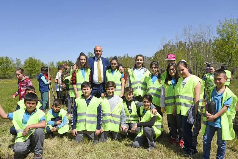 Tekkeköy Yeşille Bütünleşti