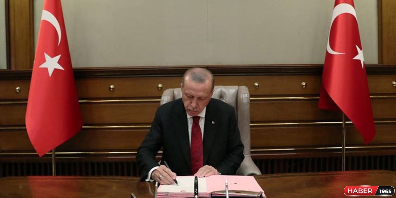 Erdoğan'ın kararı Resmi Gazete'de yayımlandı! 20 rektör ataması yapıldı