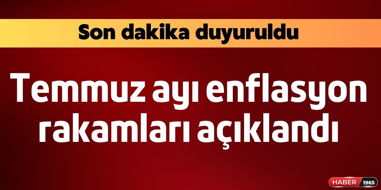 Son Dakika: TÜİK Temmuz ayı TEFE TÜFE enflasyon oranları açıklandı