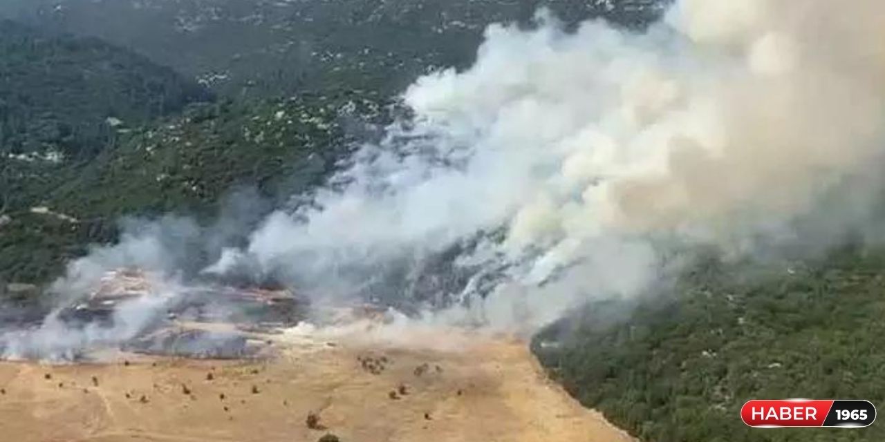 Kaş'ta orman yangını! Henüz kontrol altına alınamadı