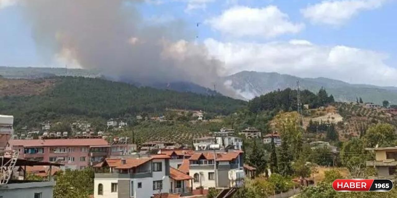 Aynı anda 2 yangın! Balıkesir ve Hatay'dan alevler yükseldi