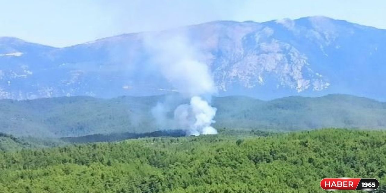 Muğla'da yine alevler yükseldi! Orman yangını meydana geldi