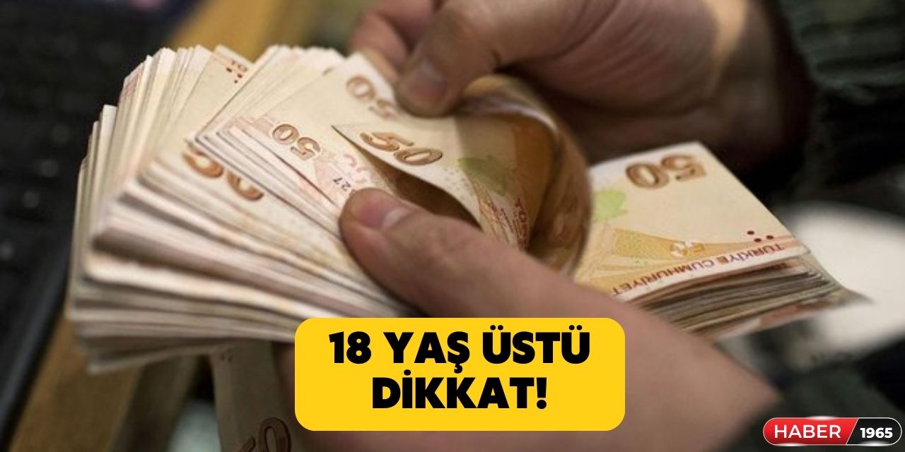 18 yaşını geçen herkes PTT'den alacak! 5.097,96 TL'ye kadar destek müjdesi verildi