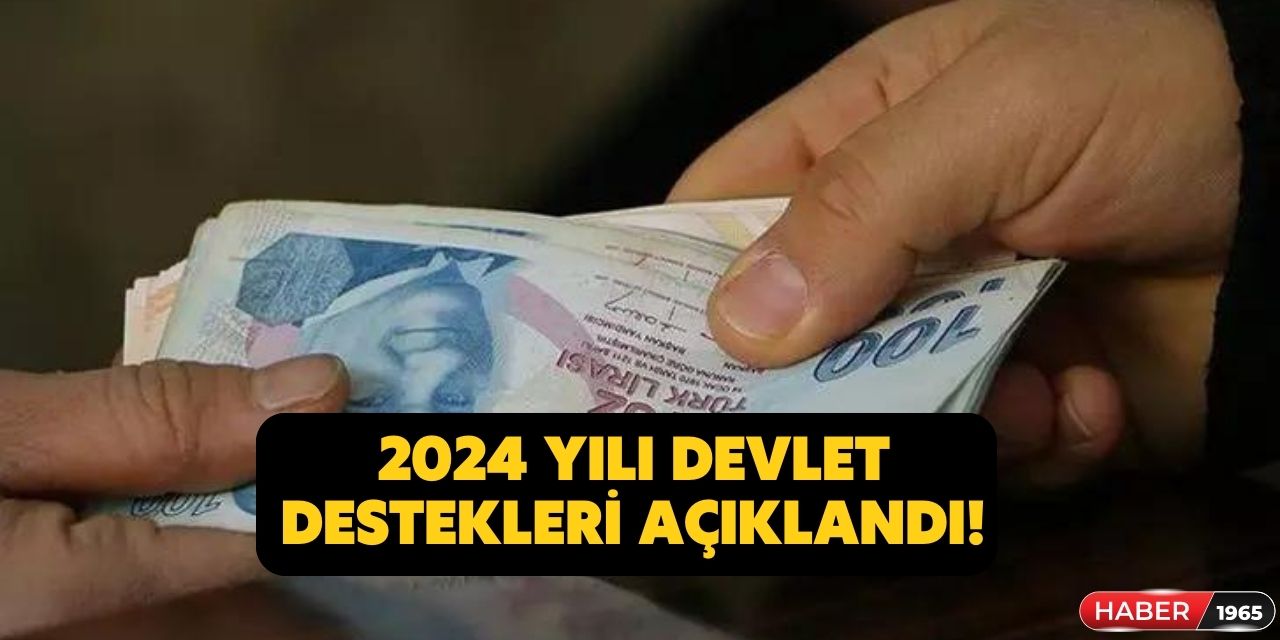 Devlet tarafından 2024 yılında verilecek maddi yardımlar açıklandı hemen başvurun