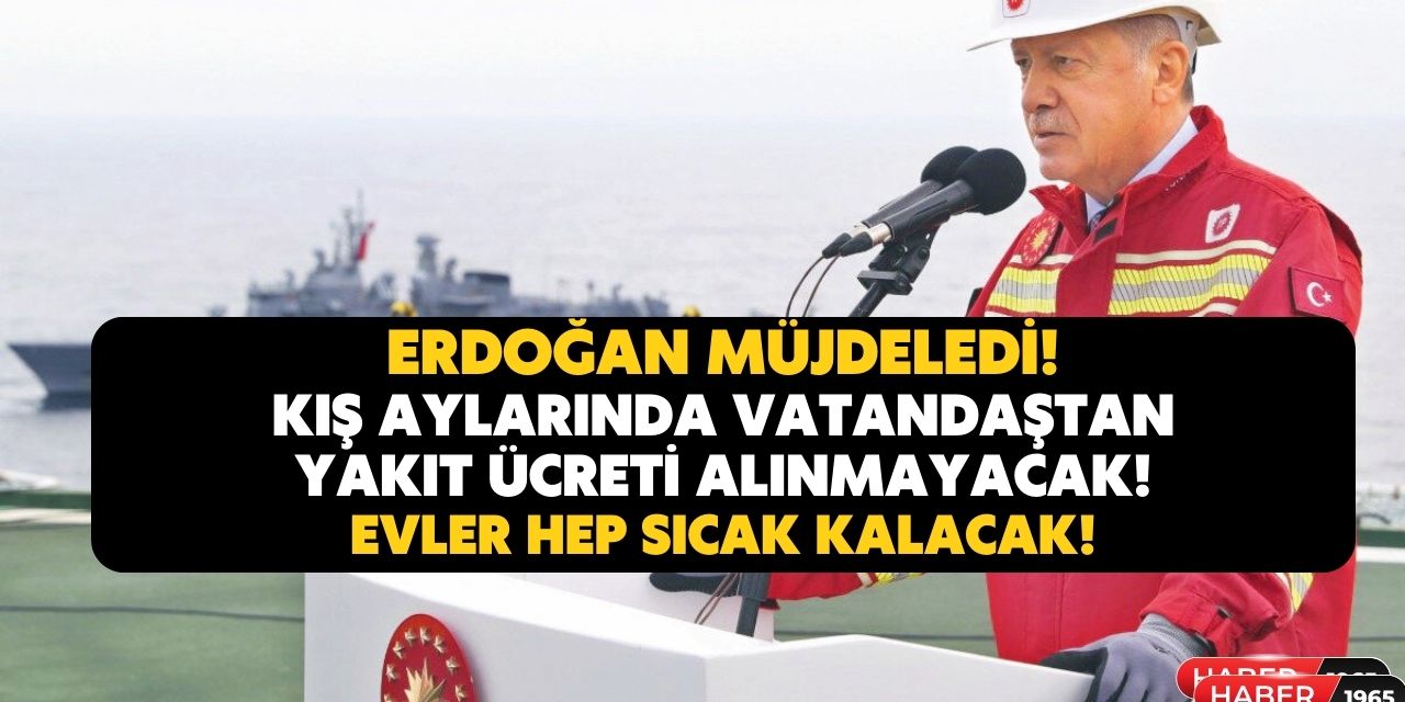 Erdoğan'ın kararı Resmi Gazete'de bugün yayımlandı! Kış aylarında vatandaşlardan yakıt  ücreti alınmayacak