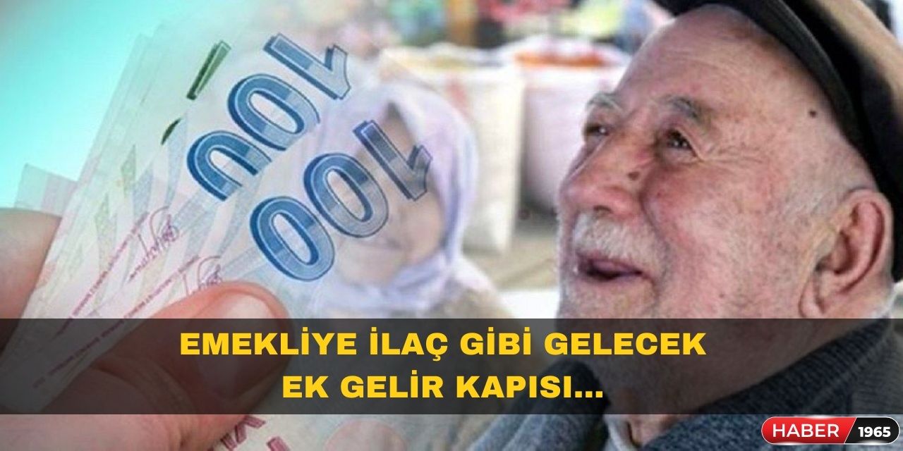 Emekliye  ek gelir kapısı açıldı! Evde oturduğunuz yerden para kazanmak mümkün