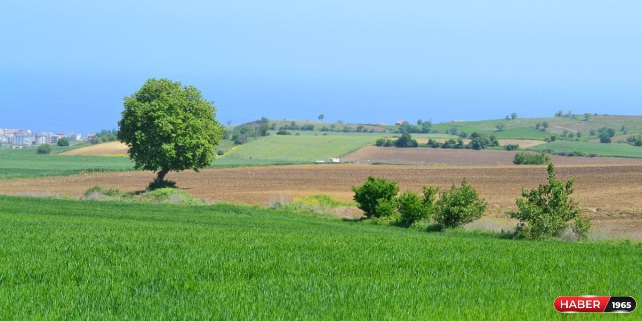 Kenarında 12 bin TL birikimi olanlar dikkat! Milli Emlak'tan 372 m2 arsa satışa çıktı