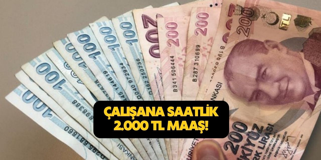 Günlük veya haftalık değil o işi yapacak kişilere SAATLİK 2000 TL maaş verilecek! Eylül'de başlayıp Kasım'da  bitecek