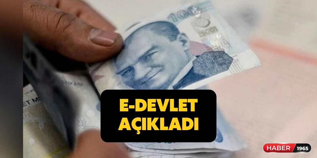 E-devlet üzerinden annelere ödeme açıklandı! Çocuk sayısına göre ödeme yapılacak