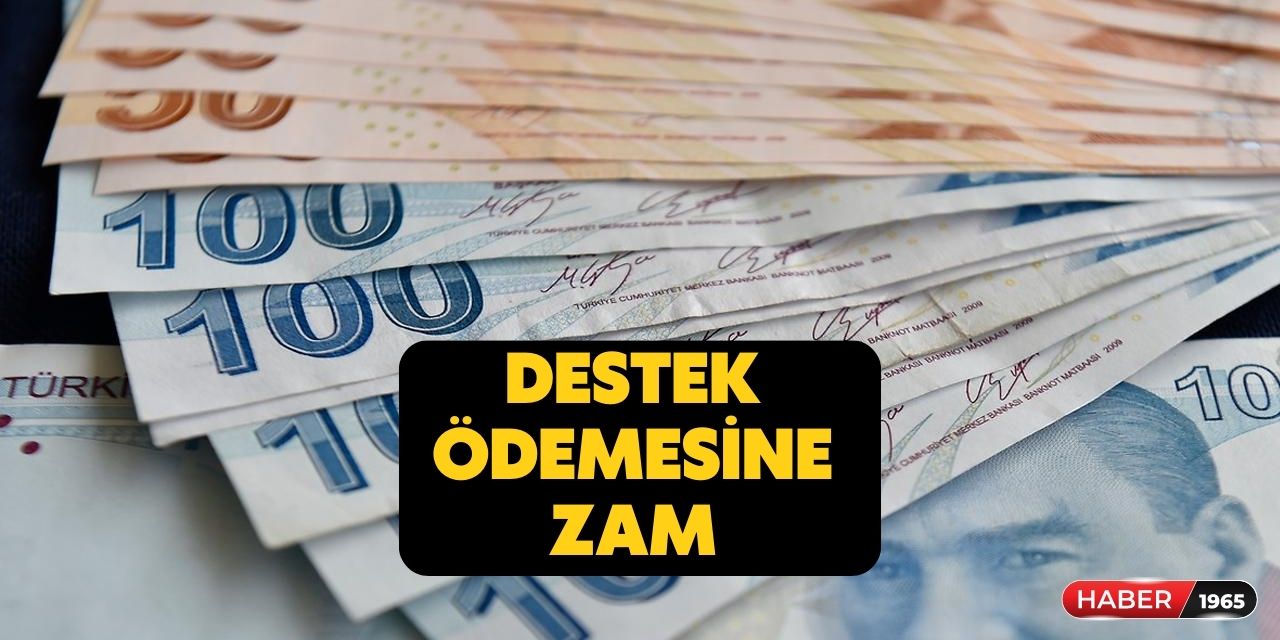 Devletten vatandaşlara açıklandı! Tek şartı var destek ödemelerine kallavi zam başvuran anında alacak