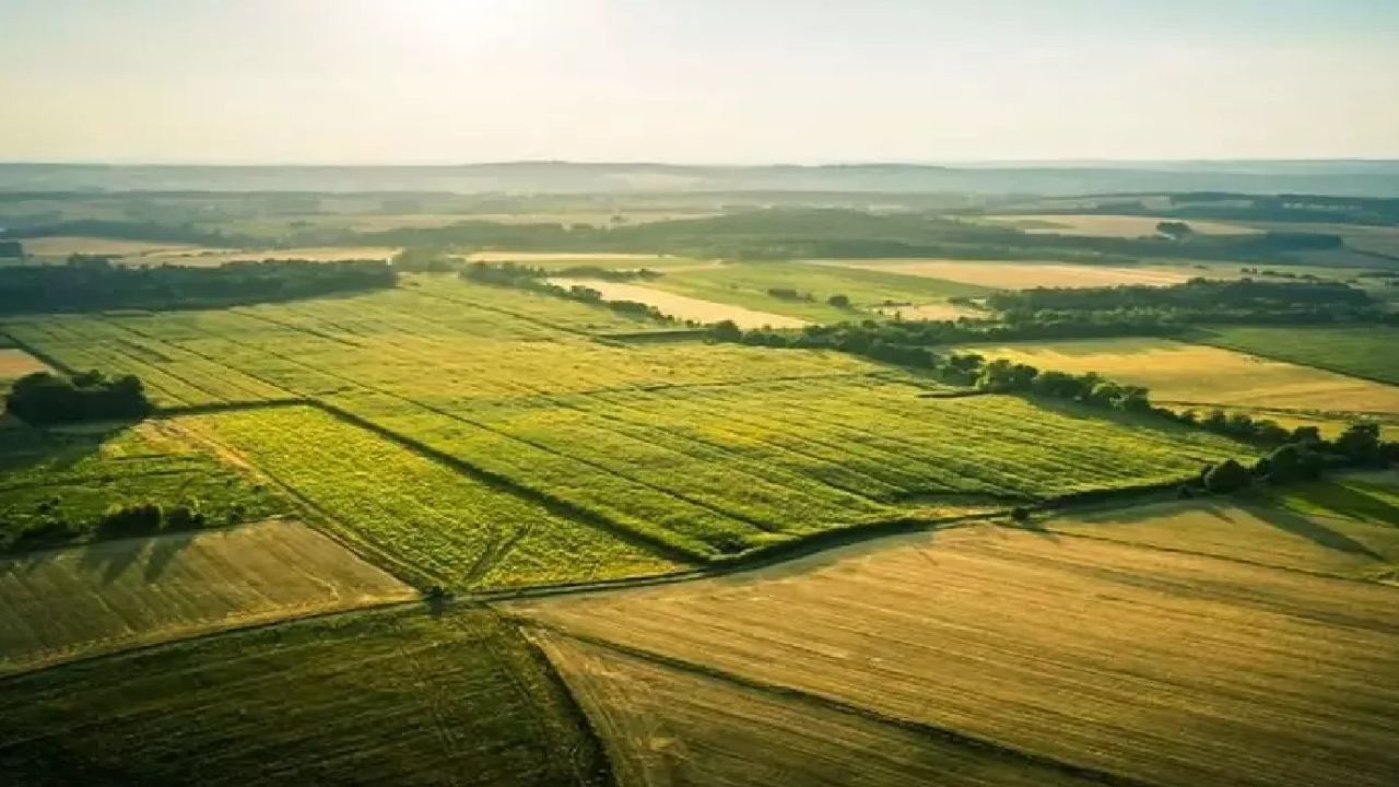 Milli Emlak'tan ucuza arsa ve arazi satışı! O ile piyango vurdu, fiyatı yüzde 25 düştü