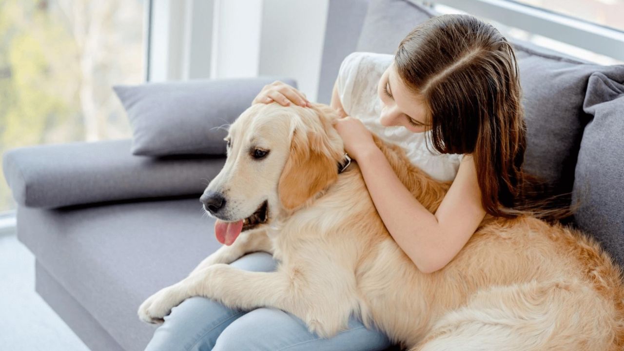 Evde patili dostu olanlar bunu mutlaka bilmeli! Kedi köpek dostu çiçekler belli oldu