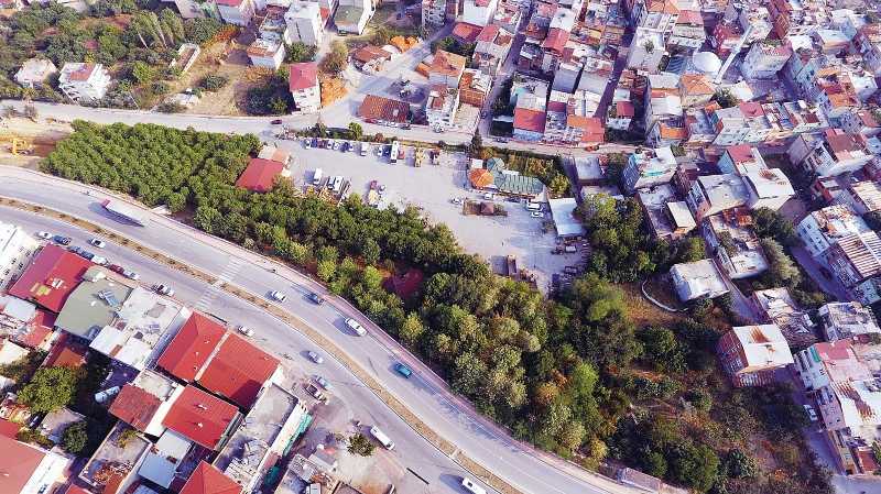 Başkan Tok: Ağaçlar, korunarak okul yeri planlanıyor