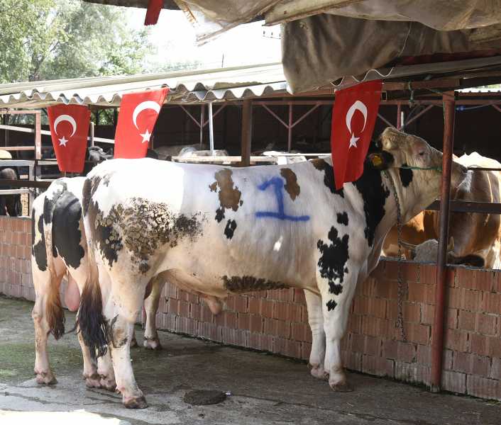 TEKKEKÖY’DE HER ŞEHİT İÇİN BİR KURBAN KESİLECEK