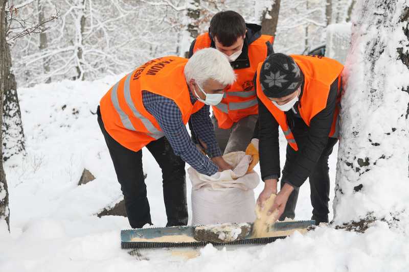 Atakum Belediyesi ekipleri kanatlı dostları unutmadı