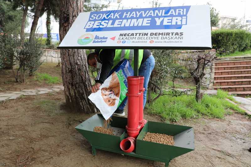 İlkadım Belediyesi sokak hayvanlarına yaşam desteği oluyor