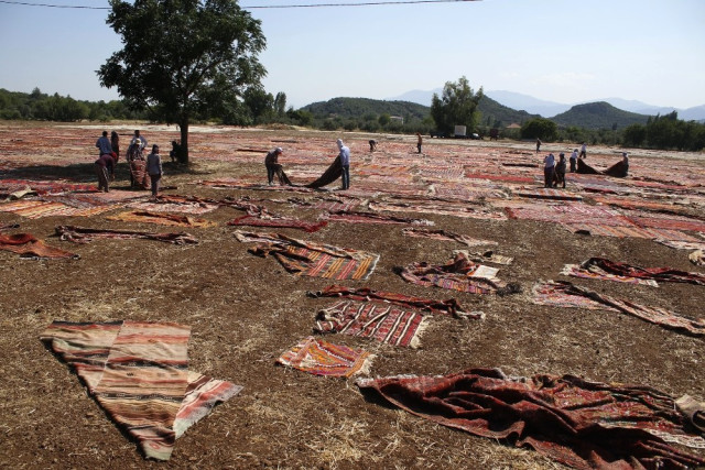 Kilim ve Halı Tarlaları