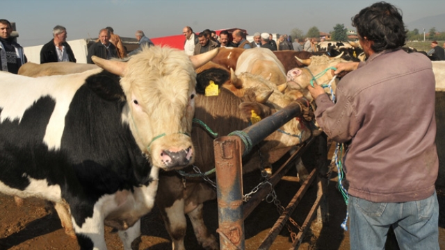 Kurban Bayramı Yaklaşırken Fiyatlar Uçtu