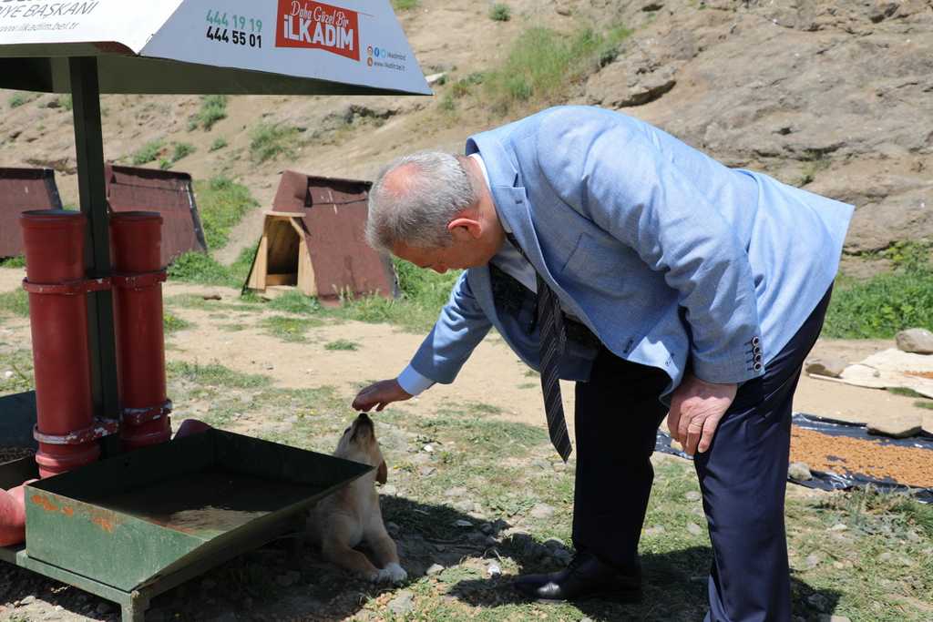 Başkan Demirtaş, can dostları elleriyle besledi