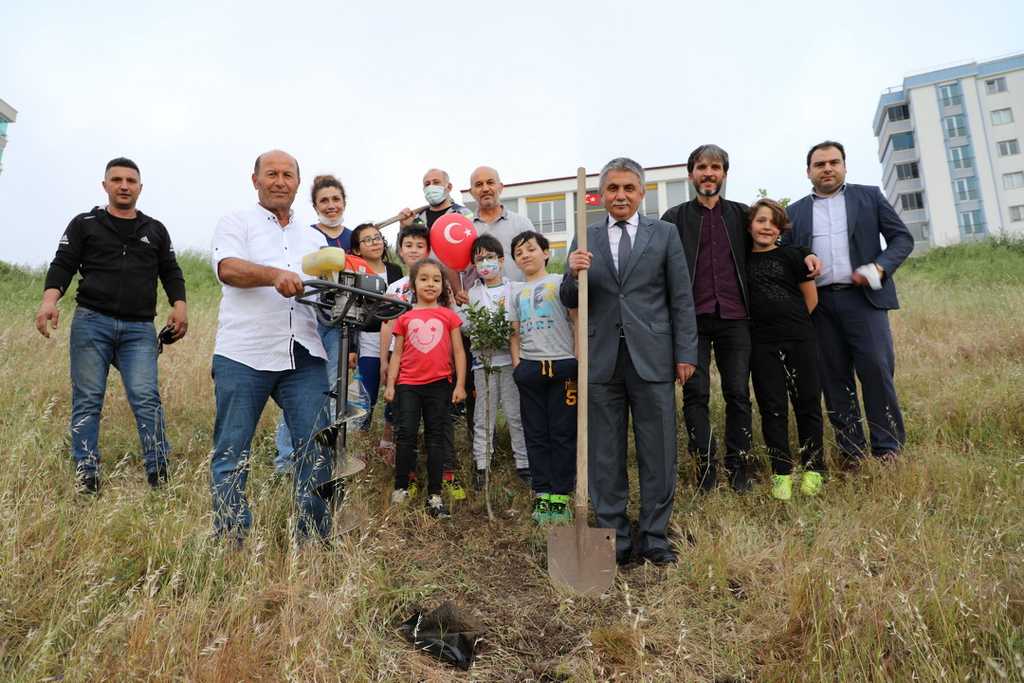 İLKADIM'DA İMECE USLÜ DİKİLEN FİDANLAR YARINLARA NEFES OLACAK