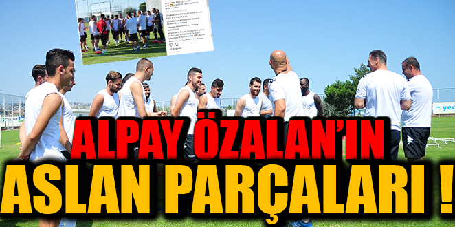 ALPAY ÖZALAN'IN ASLAN PARÇALARI