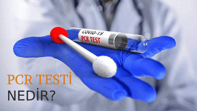 Pcr Testi Ne Kadar?