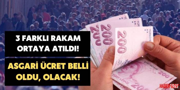 Asgari ücret için milyonlara 3 farklı senaryo! Biri hiç beğenilmedi! 'O rakamdan aşağısı kurtarmaz'