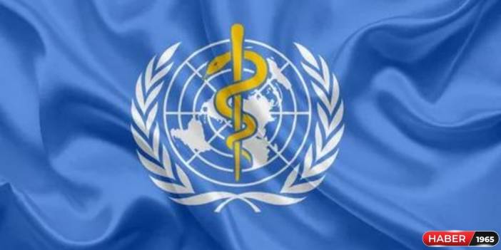 Dünya Sağlık Örgütü açıkladı! Korona virüsten daha ölümcül