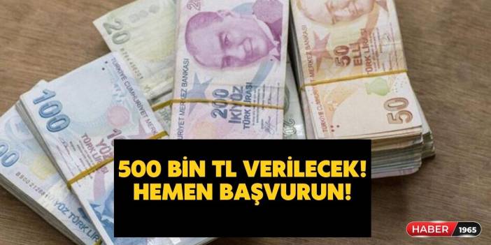 Karşılıksız geri ödemesiz devlet 500 bin TL verecek! İşte başvuru ekranı ve şartlar