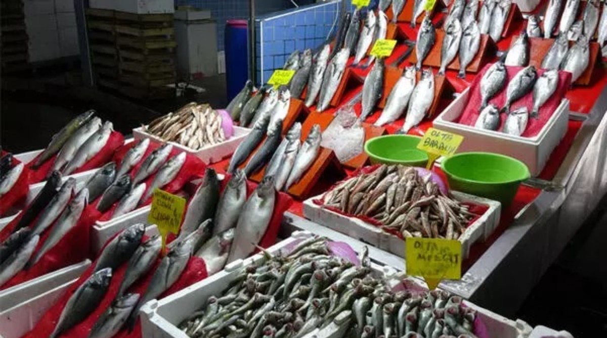 Samsun'da tezgahlar av yasağı sonrası yeniden hareketlendi